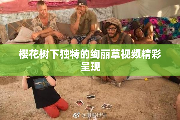 樱花树下独特的绚丽草视频精彩呈现