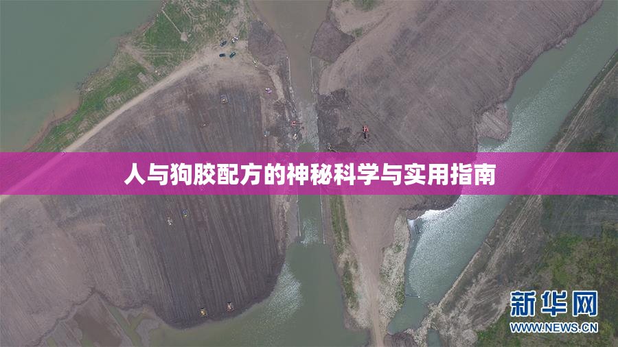 人与狗胶配方的神秘科学与实用指南
