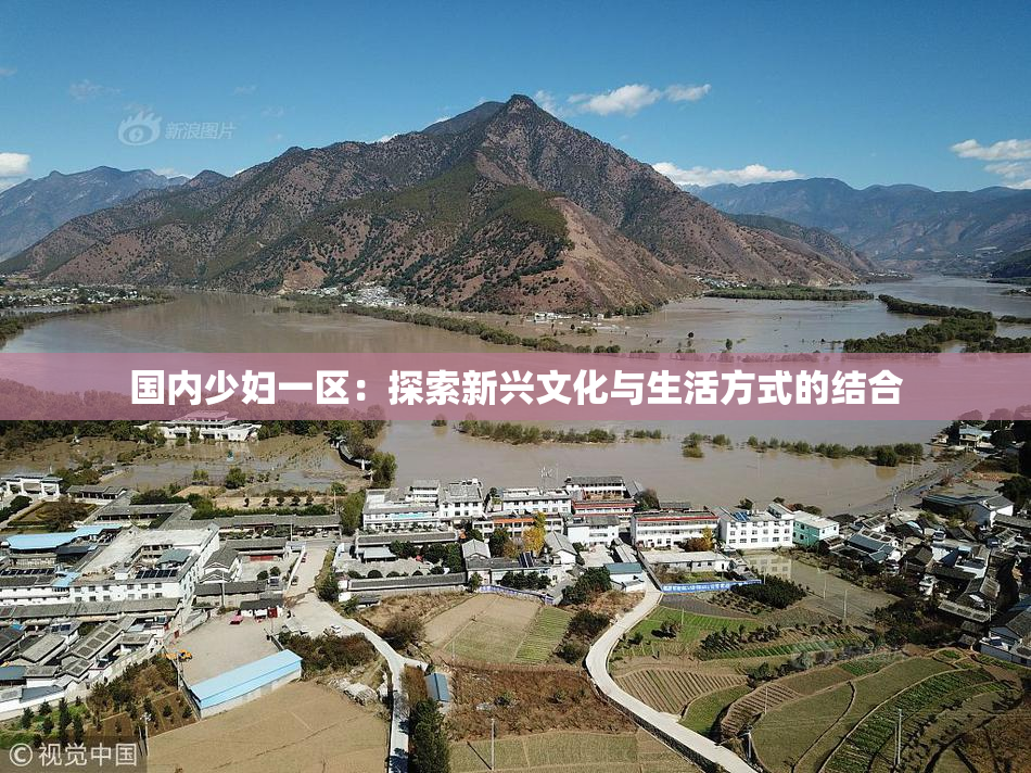 国内少妇一区：探索新兴文化与生活方式的结合