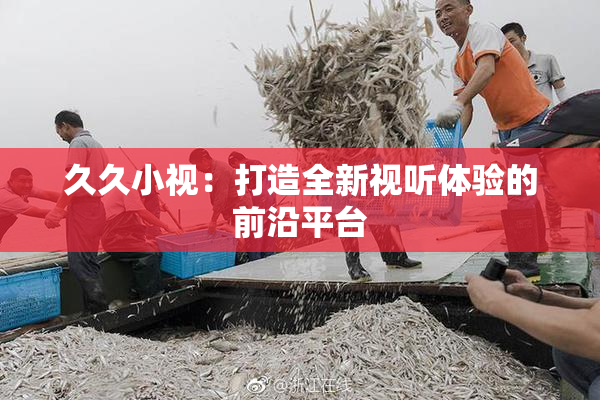 久久小视：打造全新视听体验的前沿平台