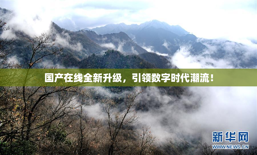 国产在线全新升级，引领数字时代潮流！