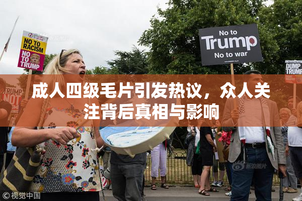 成人四级毛片引发热议，众人关注背后真相与影响