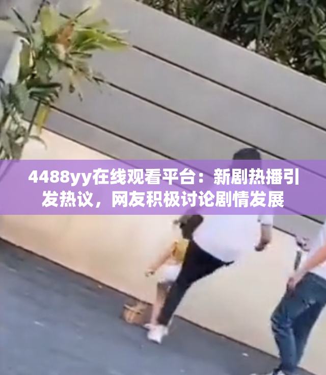 4488yy在线观看平台：新剧热播引发热议，网友积极讨论剧情发展