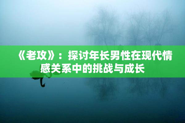 《老攻》：探讨年长男性在现代情感关系中的挑战与成长