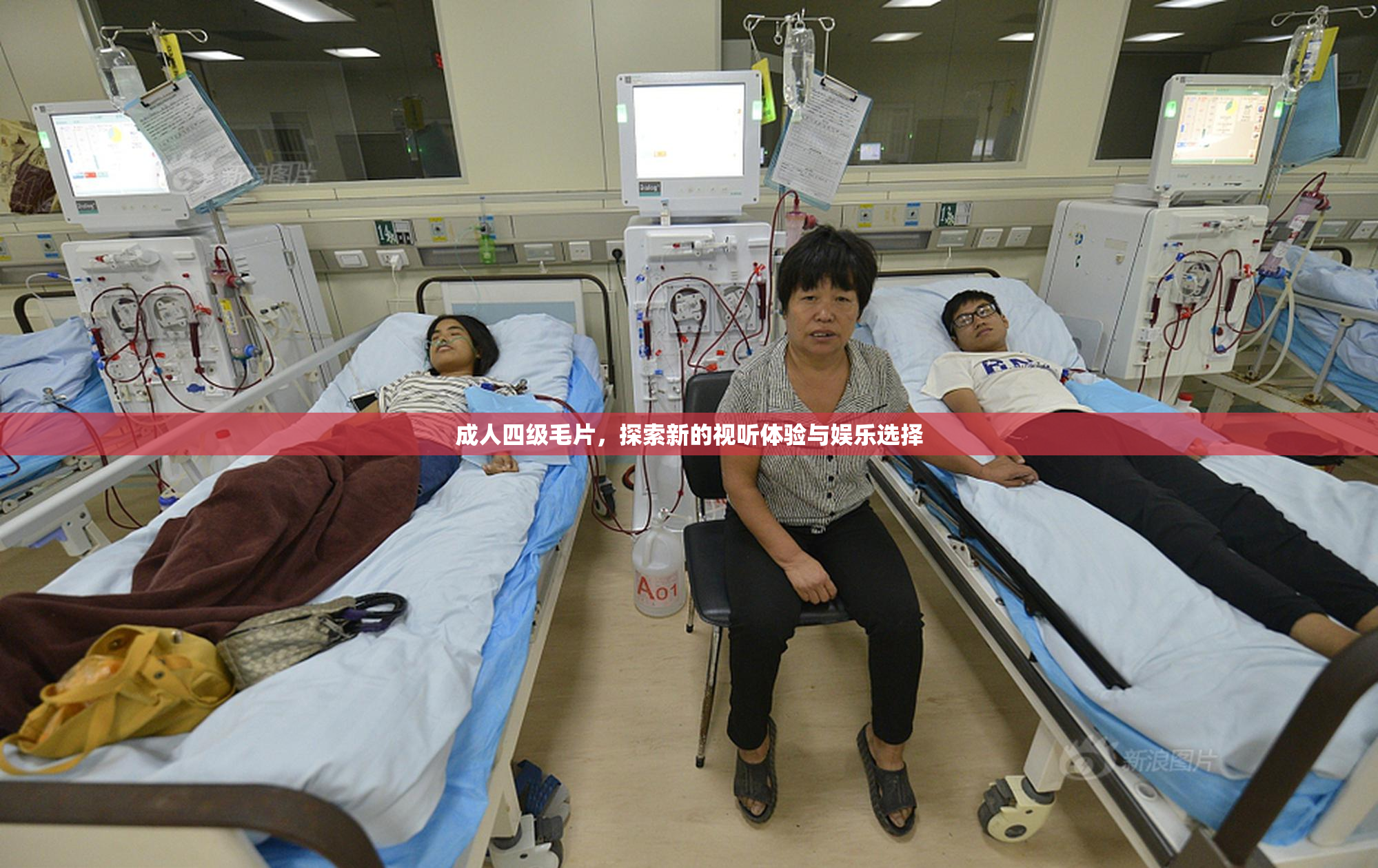 成人四级毛片，探索新的视听体验与娱乐选择