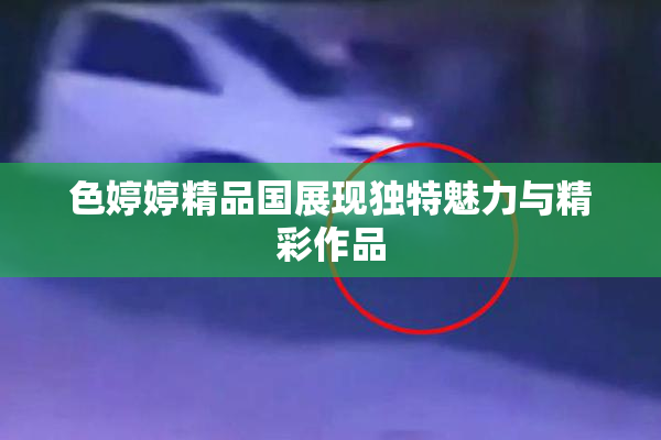 色婷婷精品国展现独特魅力与精彩作品