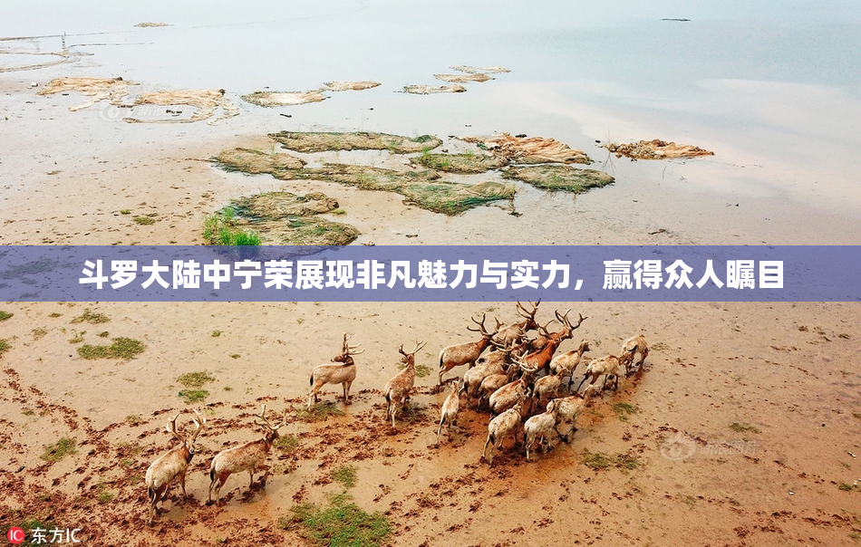 斗罗大陆中宁荣展现非凡魅力与实力，赢得众人瞩目