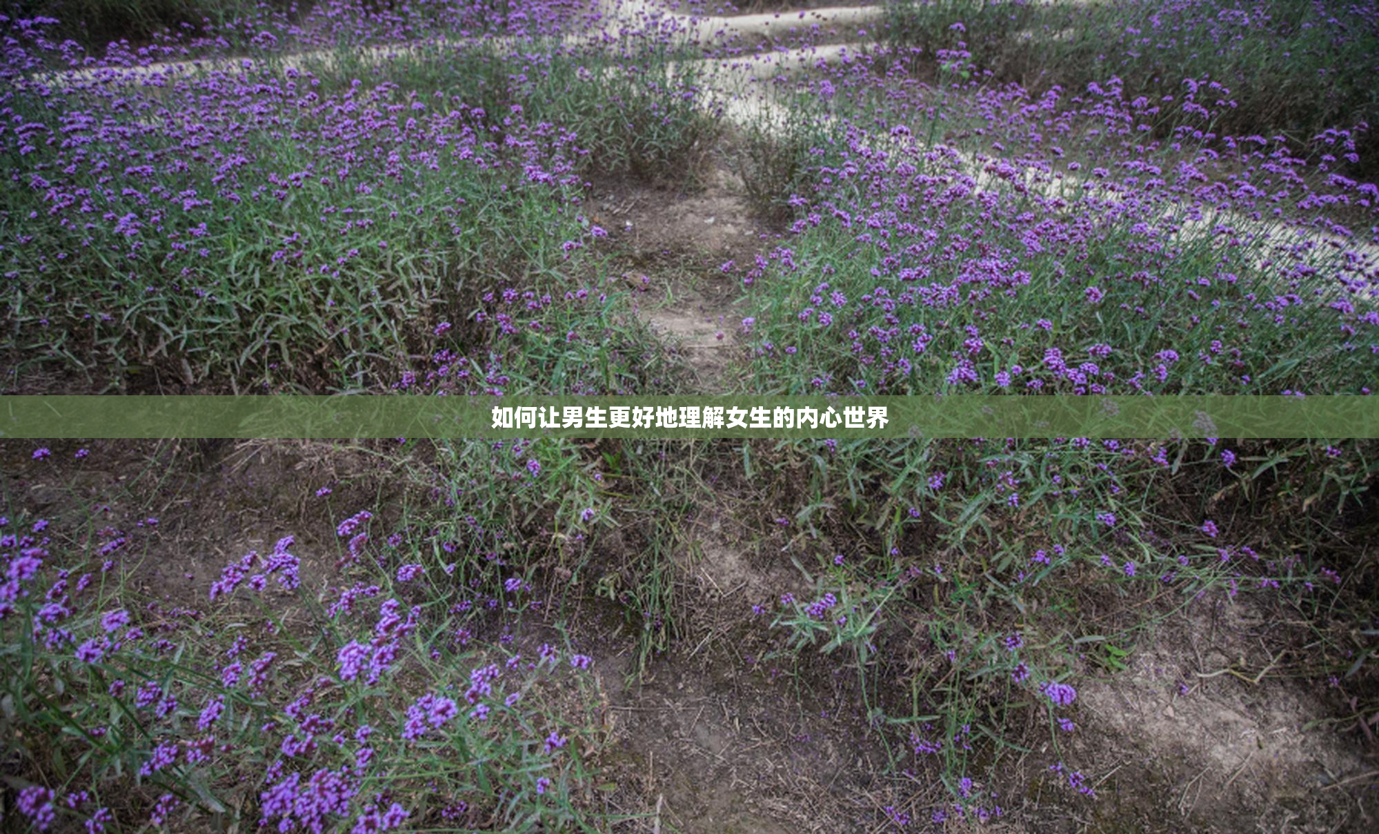 如何让男生更好地理解女生的内心世界
