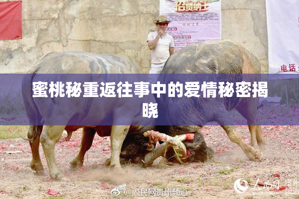 蜜桃秘重返往事中的爱情秘密揭晓