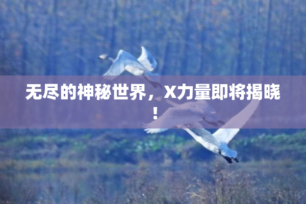 无尽的神秘世界，X力量即将揭晓！