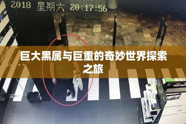 巨大黑属与巨重的奇妙世界探索之旅