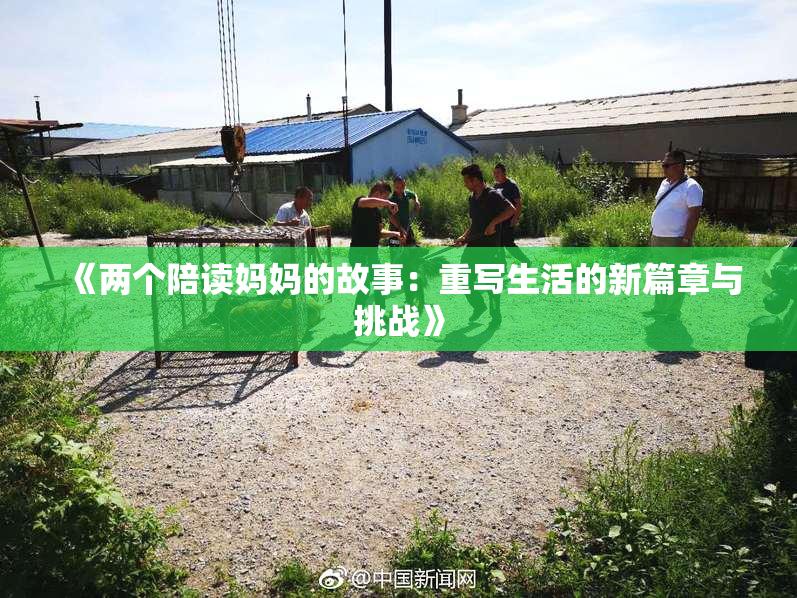 《两个陪读妈妈的故事：重写生活的新篇章与挑战》