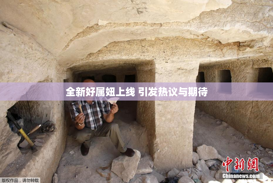 全新好属妞上线 引发热议与期待