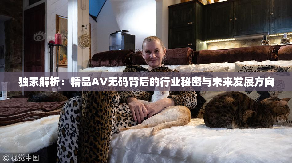 独家解析：精品AV无码背后的行业秘密与未来发展方向