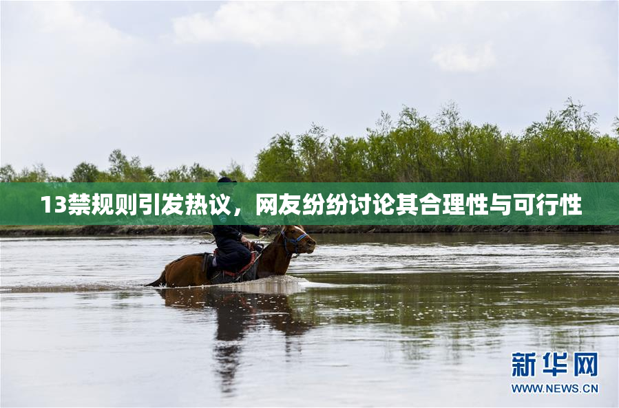 13禁规则引发热议，网友纷纷讨论其合理性与可行性