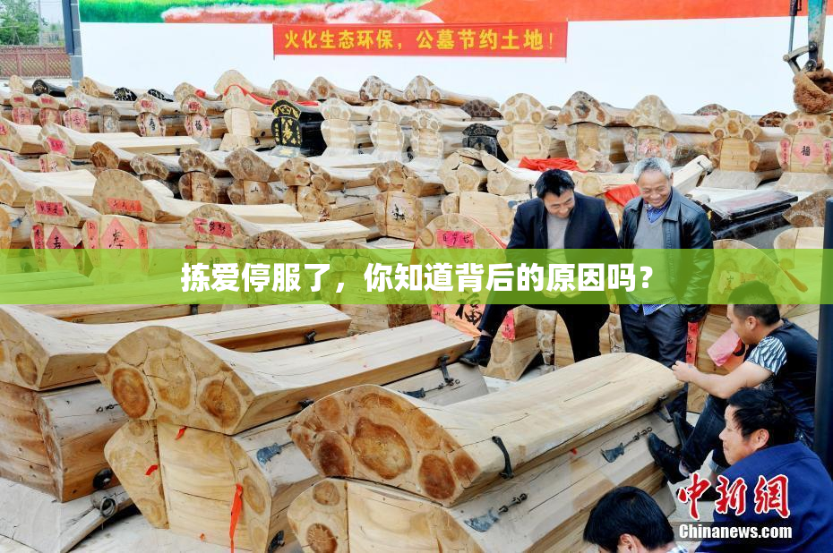 拣爱停服了，你知道背后的原因吗？