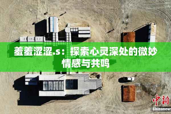 羞羞涩涩.s：探索心灵深处的微妙情感与共鸣