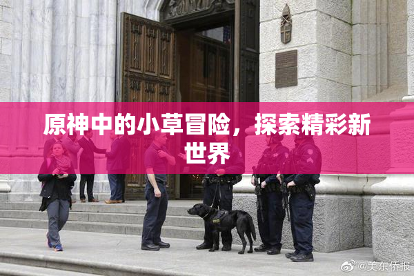 原神中的小草冒险，探索精彩新世界