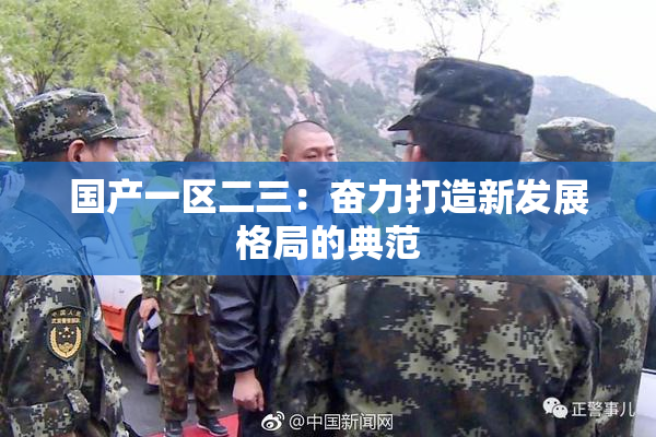 国产一区二三：奋力打造新发展格局的典范