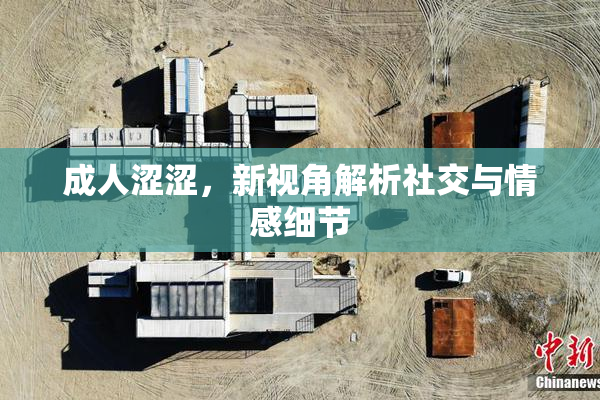 成人涩涩，新视角解析社交与情感细节