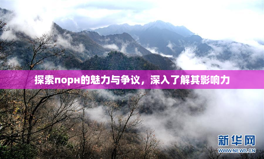 探索порн的魅力与争议，深入了解其影响力