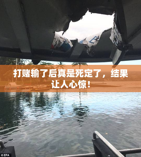 打赌输了后真是死定了，结果让人心惊！