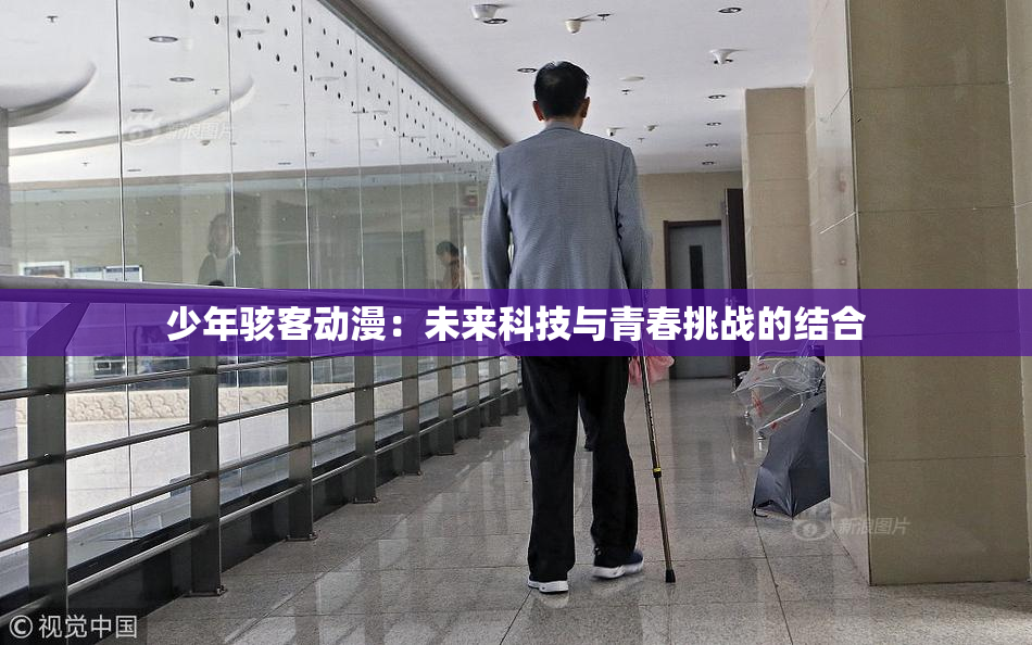 少年骇客动漫：未来科技与青春挑战的结合