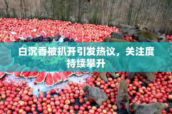 白沉香被扒开引发热议，关注度持续攀升