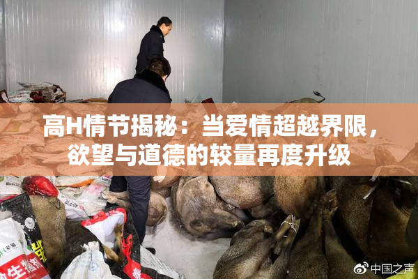 高H情节揭秘：当爱情超越界限，欲望与道德的较量再度升级