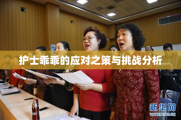 护士乖乖的应对之策与挑战分析