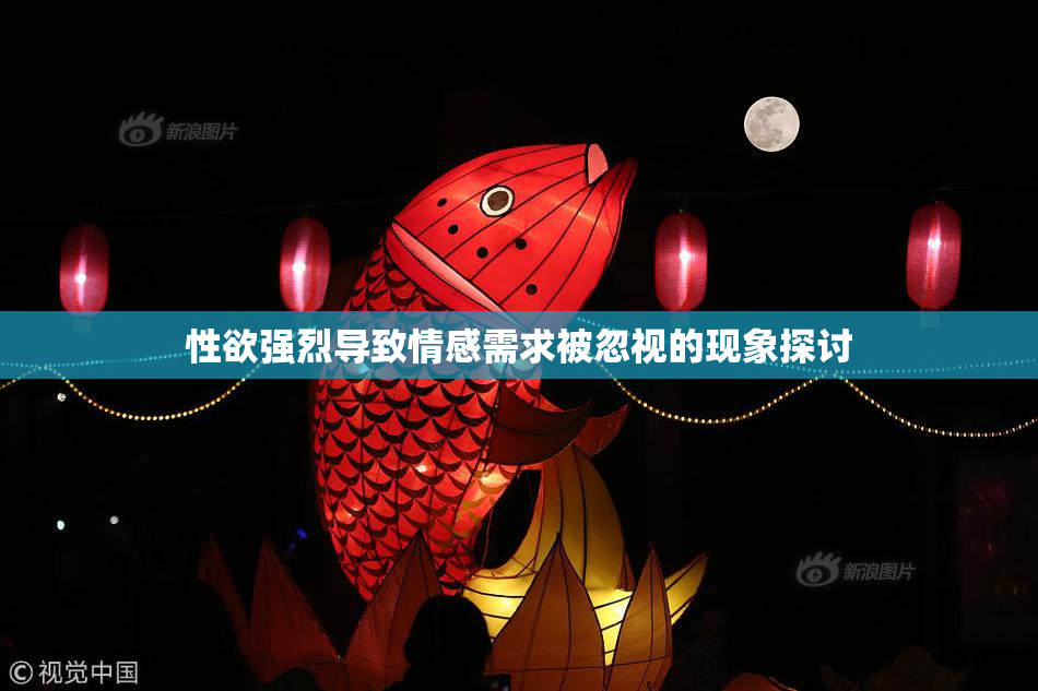 性欲强烈导致情感需求被忽视的现象探讨