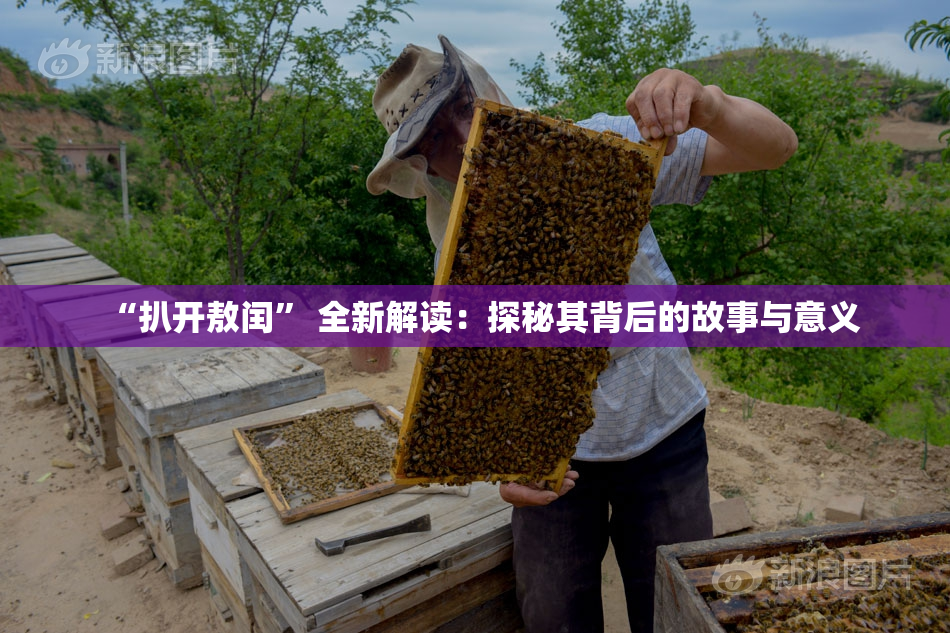 “扒开敖闰” 全新解读：探秘其背后的故事与意义