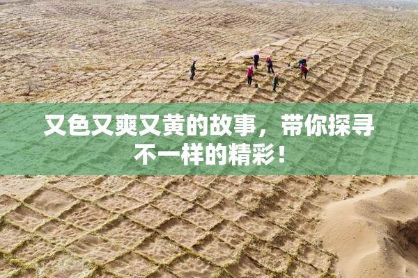 又色又爽又黄的故事，带你探寻不一样的精彩！