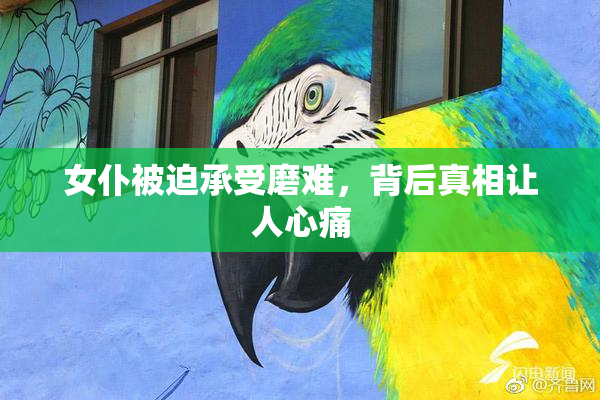 女仆被迫承受磨难，背后真相让人心痛