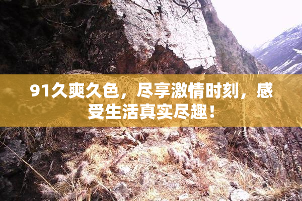91久爽久色，尽享激情时刻，感受生活真实尽趣！