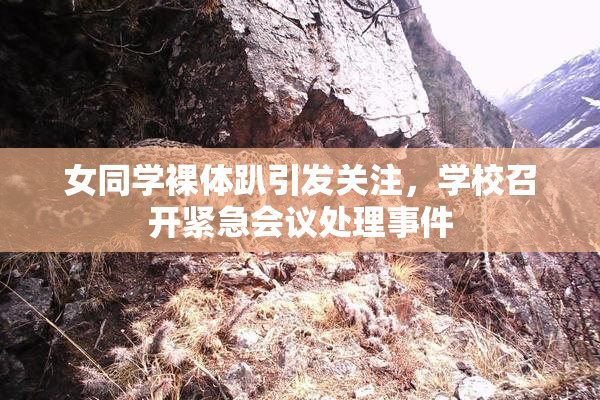 女同学裸体趴引发关注，学校召开紧急会议处理事件