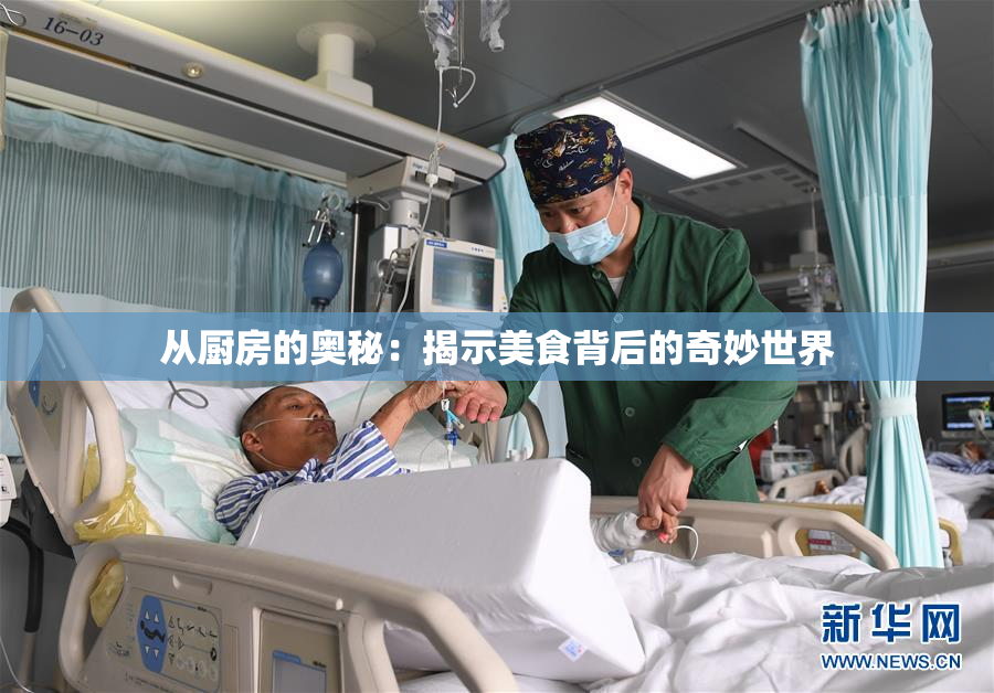 从厨房的奥秘：揭示美食背后的奇妙世界