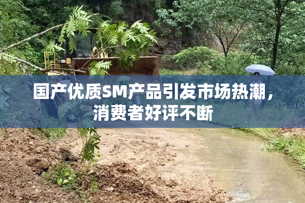 国产优质SM产品引发市场热潮，消费者好评不断