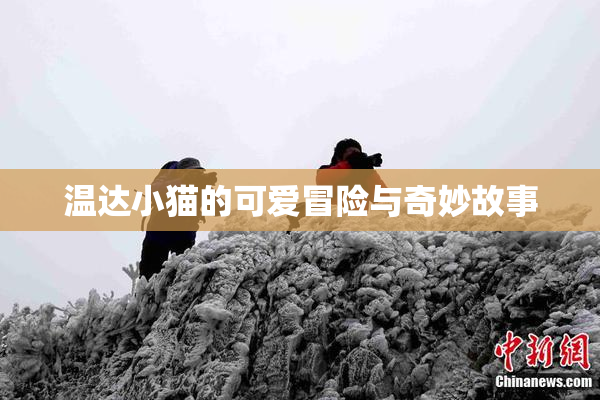 温达小猫的可爱冒险与奇妙故事