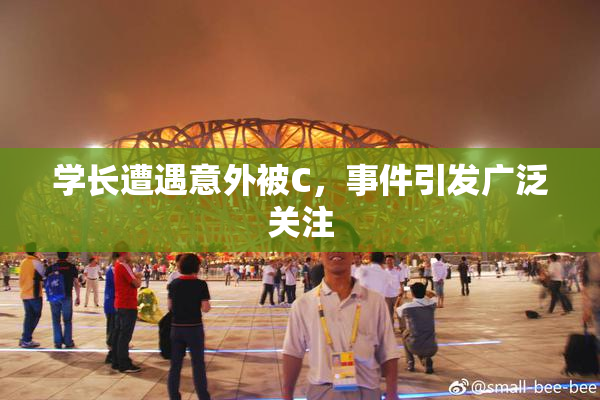 学长遭遇意外被C，事件引发广泛关注