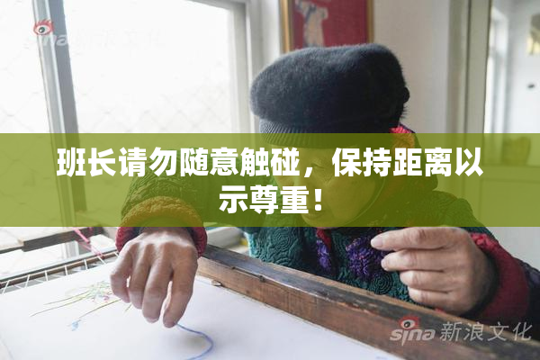 班长请勿随意触碰，保持距离以示尊重！