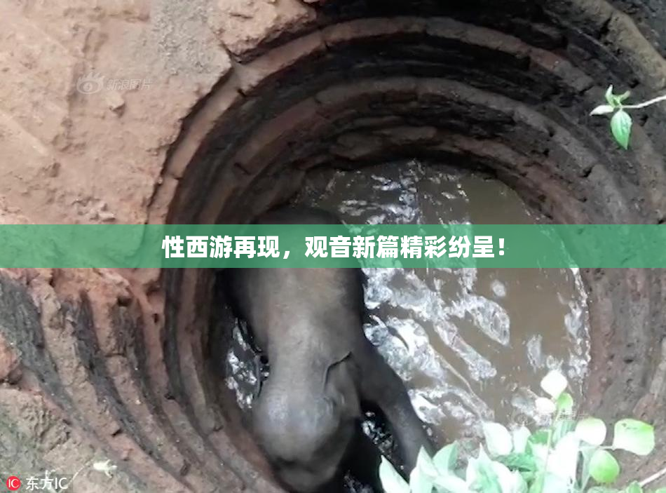 性西游再现，观音新篇精彩纷呈！