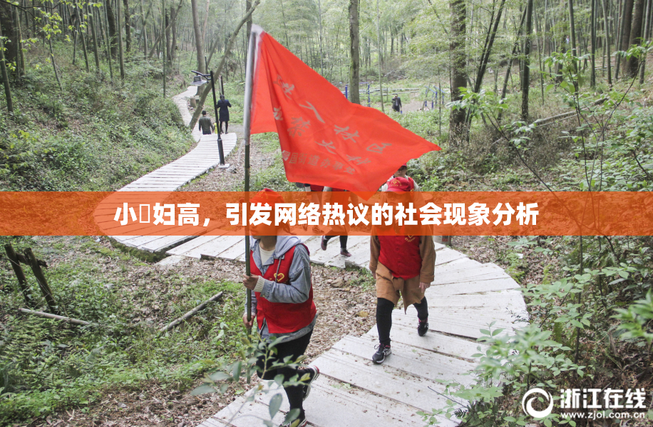 小婬妇高，引发网络热议的社会现象分析