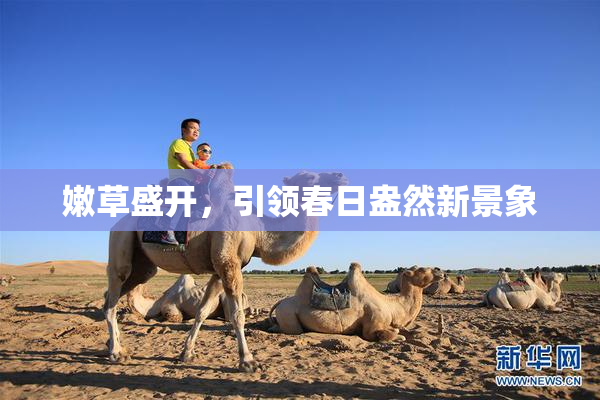 嫩草盛开，引领春日盎然新景象