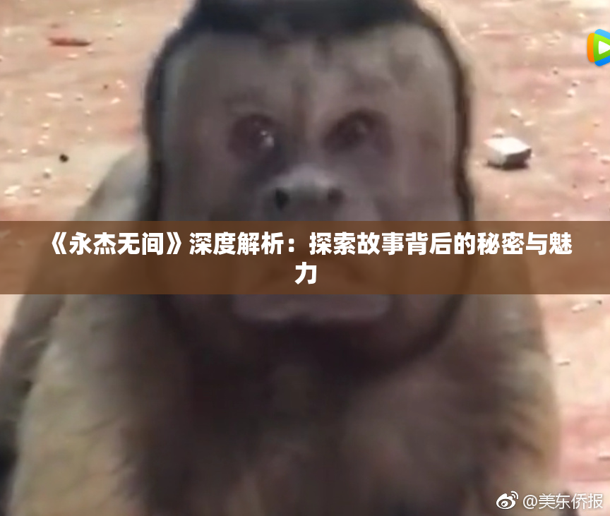 《永杰无间》深度解析：探索故事背后的秘密与魅力