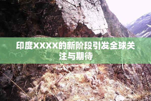 印度XXXX的新阶段引发全球关注与期待