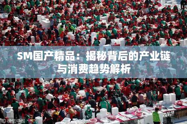 SM国产精品：揭秘背后的产业链与消费趋势解析