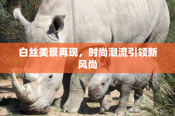 白丝美景再现，时尚潮流引领新风尚