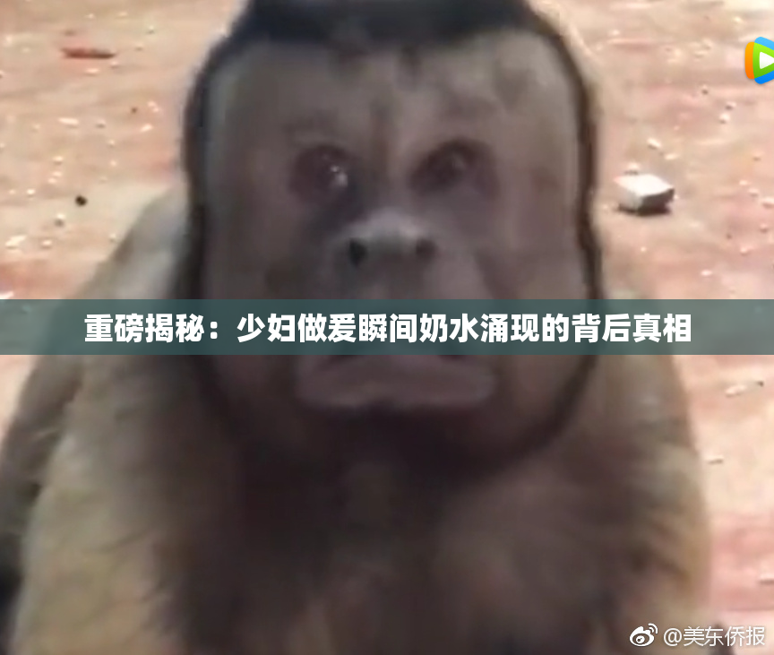 重磅揭秘：少妇做爰瞬间奶水涌现的背后真相