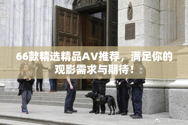 66款精选精品AV推荐，满足你的观影需求与期待！